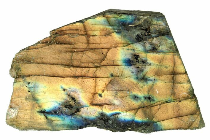 Single Side Polished Labradorite Slab - Madagascar #278205